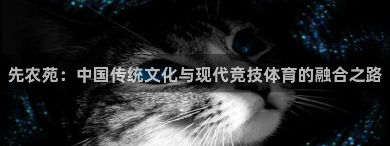 球客岛：先农苑：中国传统文化与现代竞技体育的融合之路