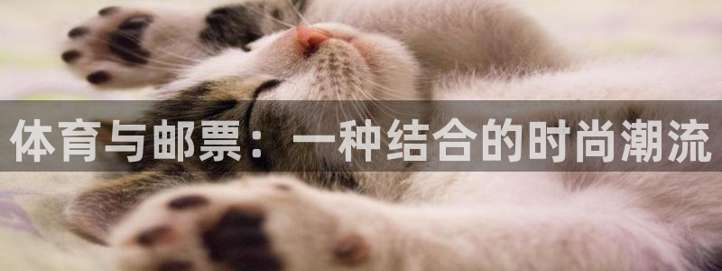 球客岛：体育与邮票：一种结合的时尚潮流