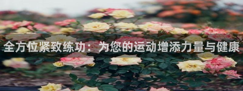 球客岛：全方位紧致练功：为您的运动增添力量与健康