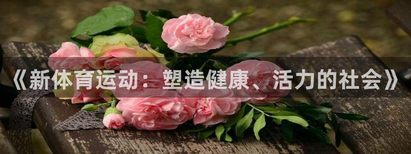 球客岛：《新体育运动：塑造健康、活力的社会》