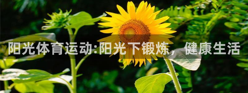 球客岛：阳光体育运动:阳光下锻炼，健康生活