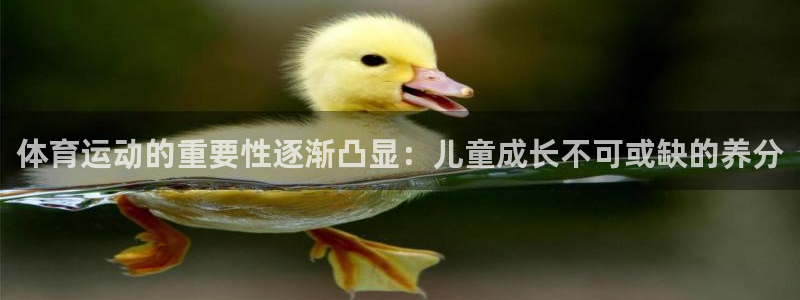 球客岛：体育运动的重要性逐渐凸显：儿童成长不可或缺的养分