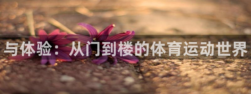 球客岛：与体验：从门到楼的体育运动世界