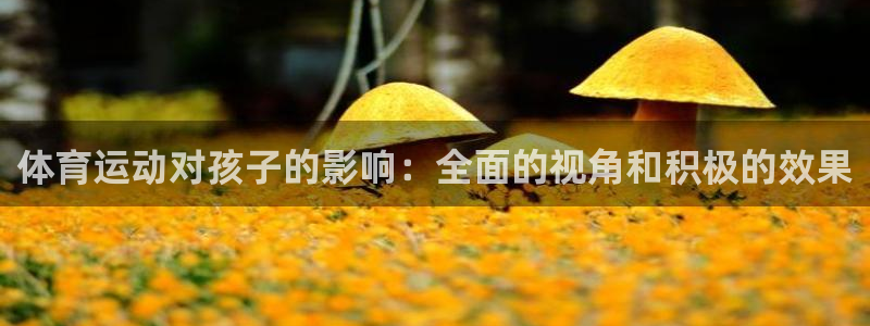 球客岛：体育运动对孩子的影响：全面的视角和积极的效果