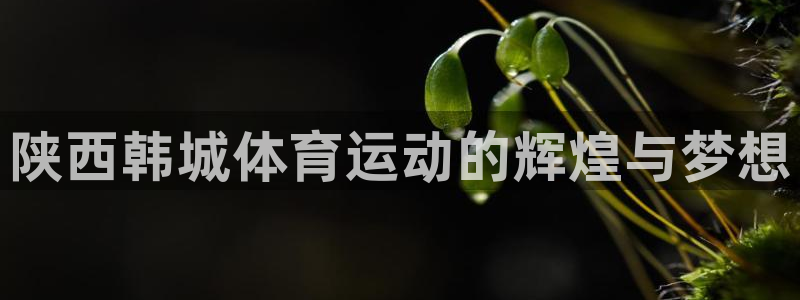 球客岛：陕西韩城体育运动的辉煌与梦想